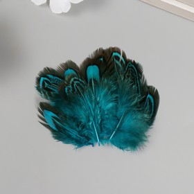 Перо декоративное фазана "Рябь. Голубая" набор 20 шт h=5-7 см