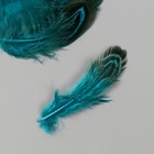 Перо декоративное фазана "Рябь. Голубая" набор 20 шт h=5-7 см - Фото 2