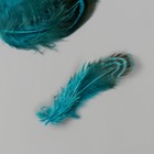 Перо декоративное фазана "Рябь. Голубая" набор 20 шт h=5-7 см - Фото 3