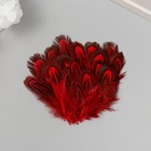 Перо декоративное фазана "Рябь. Красная" набор 20 шт h=5-7 см - фото 320751171