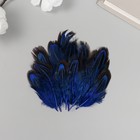 Перо декоративное фазана "Рябь. Синяя" набор 20 шт h=5-7 см - фото 11749147