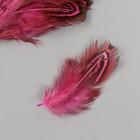 Перо декоративное фазана "Рябь. Розовая" набор 20 шт h=5-7 см - фото 8180883