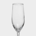 Набор стеклянных бокалов для шампанского «Селест», 160 мл, 6 шт - Фото 3
