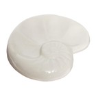 Палитра фарфор "Улитка" 12,5 х 10 см, 4 ячейки, ЗХК - фото 23416879