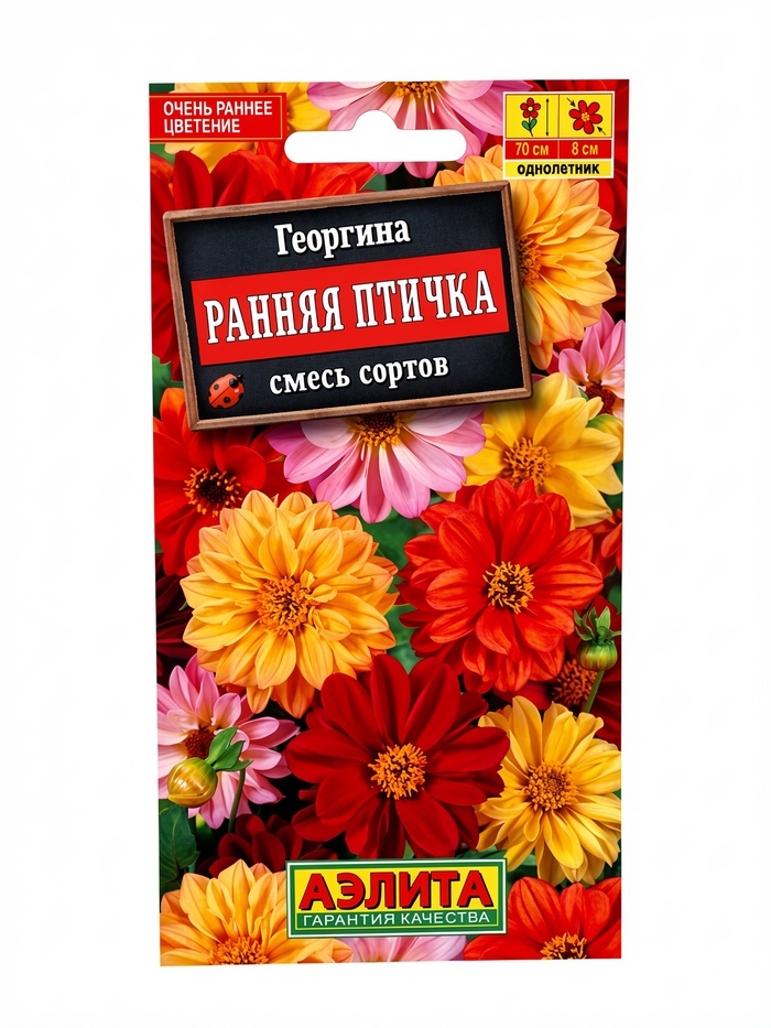 Семена Георгина махровая Ранняя птичка, смесь окрасок , 0,3г