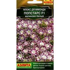 Семена Цветов Флокс друммонда "Попстарс", F1, малиново-белый, 5 шт 9359838 - фото 23099705