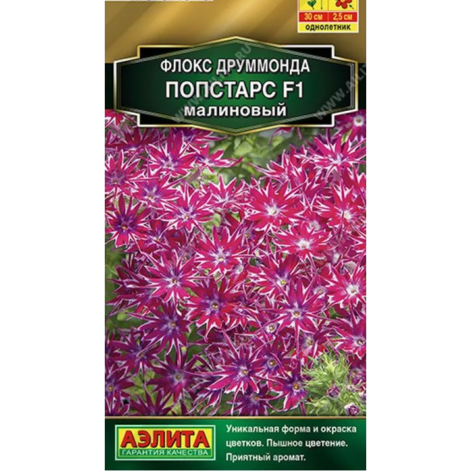 Флоксы Однолетние Купить Семена