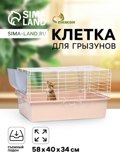 Клетка для грызунов «Пижон» №1 складная, 58×40×34 см, миска, 2 кормушки, бежевая
