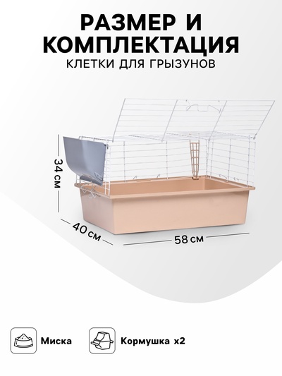 Клетка для грызунов «Пижон» №1 складная, 58×40×34 см, миска, 2 кормушки, бежевая