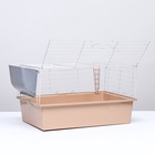 Клетка для грызунов «Пижон» №1 складная, 58×40×34 см, миска, 2 кормушки, бежевая - Фото 6