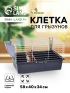 серая