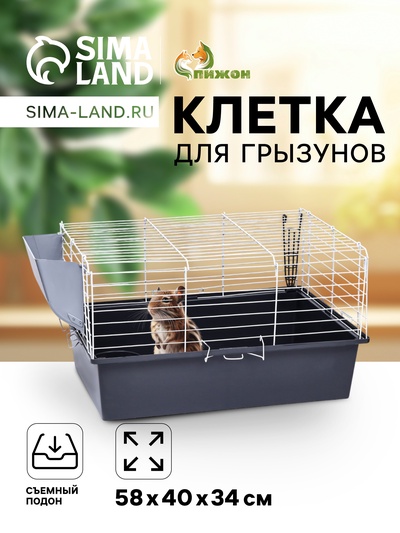 Клетка для грызунов «Пижон» №1 складная, 58×40×34 см, миска, 2 кормушки, серая