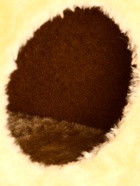 Домик-когтеточка, 53×35×65 см, 2 уровня, квадратные полки, бежевый - Фото 7