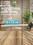 Жёрдочка для птиц «Пижон», 16×1.2 см, средняя, дерево, бежевая - Фото 1