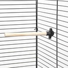 Жёрдочка для птиц «Пижон», 16×1.2 см, средняя, дерево, бежевая - Фото 4