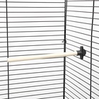 Жёрдочка для птиц «Пижон», 21×1.2 см, средняя, дерево, бежевая - Фото 4