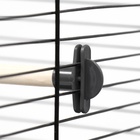 Жёрдочка для птиц «Пижон», 21×1.2 см, средняя, дерево, бежевая - Фото 5