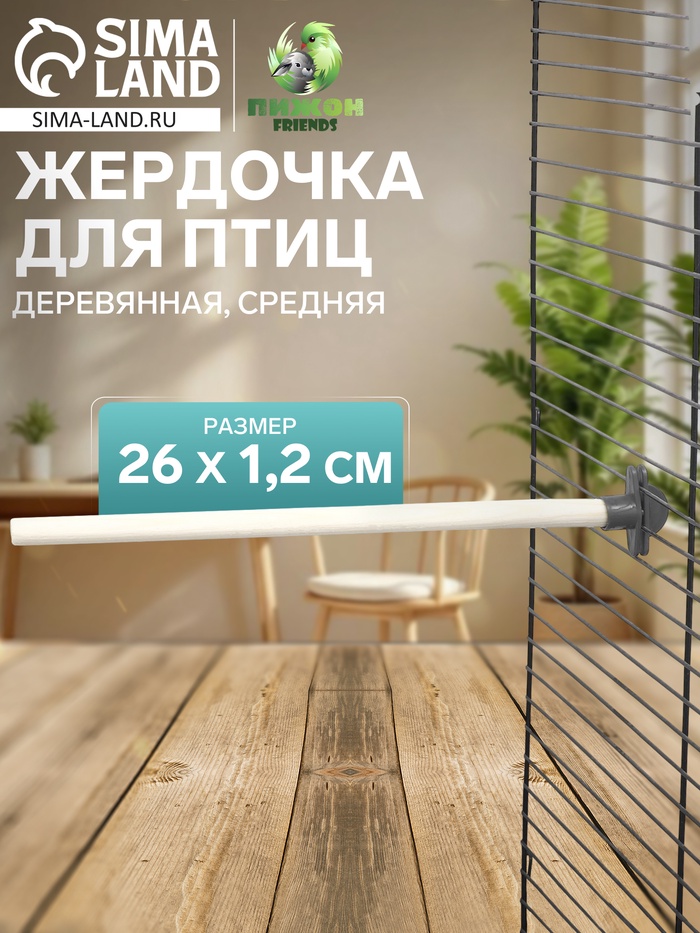 Жёрдочка для птиц «Пижон», 26×1.2 см, средняя, дерево, бежевая - Фото 1