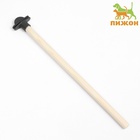 Жёрдочка для птиц «Пижон», 26×1.2 см, средняя, дерево, бежевая - Фото 2