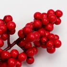 Декоративные ягодки красные, 12 × 6 × 3 см - Фото 2