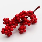 Декоративные ягодки красные, 12 × 6 × 3 см - Фото 3