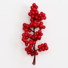 Декоративные ягодки красные, 12 × 6 × 3 см - Фото 4