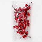 Декоративные ягодки красные, 12 × 6 × 3 см - Фото 5