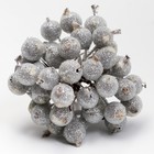 Декоративные ягодки, серебряные, 7 × 6 × 7 см, 40 ягод - Фото 5