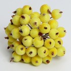 Декоративные ягодки, жёлтые, 7 × 6 × 7 см, 40 ягод - Фото 5