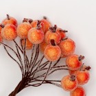 Декоративные ягодки, оранжевые, 7 × 6 × 7 см, 40 ягод - Фото 2