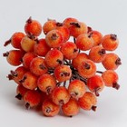 Декоративные ягодки, оранжевые, 7 × 6 × 7 см, 40 ягод - Фото 5