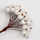 Декоративные ягодки, белого цвета, 7 × 6 × 7 см, 40 ягод - Фото 2