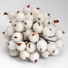 Декоративные ягодки, белого цвета, 7 × 6 × 7 см, 40 ягод - Фото 5