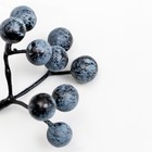 Декоративные ягодки «Черника» 9 ягод, 5,5 × 5 × 5,5 см - Фото 2