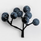 Декоративные ягодки «Черника» 9 ягод, 5,5 × 5 × 5,5 см - Фото 4