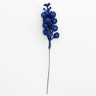 Декоративные ягодки на палочке, синего цвета, 4,5 × 4,5 × 20 см - Фото 4