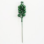 Декоративные ягодки на палочке, зелёного цвета, 4,5 × 4,5 × 20 см - Фото 4