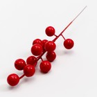 Декоративные ягодки на палочке «Радость» 5 × 5 × 23 см - Фото 3