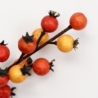 Декоративные ягодки на палочке «Яркие краски» 6 × 6 × 22 см - Фото 2