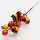 Декоративные ягодки на палочке «Яркие краски» 6 × 6 × 22 см - Фото 3