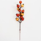 Декоративные ягодки на палочке «Яркие краски» 6 × 6 × 22 см - Фото 4