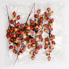 Декоративные ягодки на палочке «Яркие краски» 6 × 6 × 22 см - Фото 5