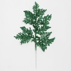 Декоративная веточка «Изумление» в зелёном цвете, 0,3 × 12 × 28 см - Фото 4