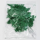 Декоративная веточка «Изумление» в зелёном цвете, 0,3 × 12 × 28 см - Фото 5
