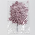 Декоративная веточка «Изумление» в розовом цвете, 0,3 × 12 × 28 см - Фото 5