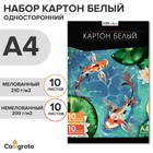 Картон белый А4, 20 листов: 10 листов мелованного плотность 200 г/м², 10 листов немелованного плотность 200 г/м², в папке - Фото 1