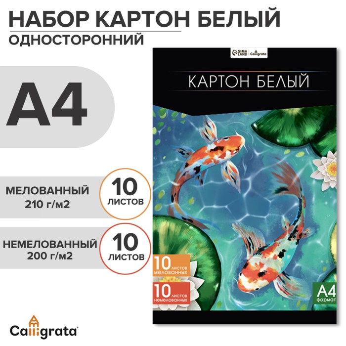 Картон белый А4, 20 листов: 10 листов мелованного плотность 200 г/м², 10 листов немелованного плотность 200 г/м², в папке