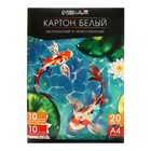 Картон белый А4, 20 листов: 10 листов мелованного плотность 200 г/м², 10 листов немелованного плотность 200 г/м², в папке - Фото 2