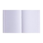 Тетрадь 48 листов в клетку "MadnessMalina", обложка мелованный картон, твин-лак, блок 60г/м2, МИКС - Фото 2