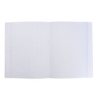 Тетрадь 48 листов в клетку "Зимние котики", обложка мелованный картон, матовая ламинация, выборочный УФ-лак, блок 60г/м2, МИКС - фото 23321662